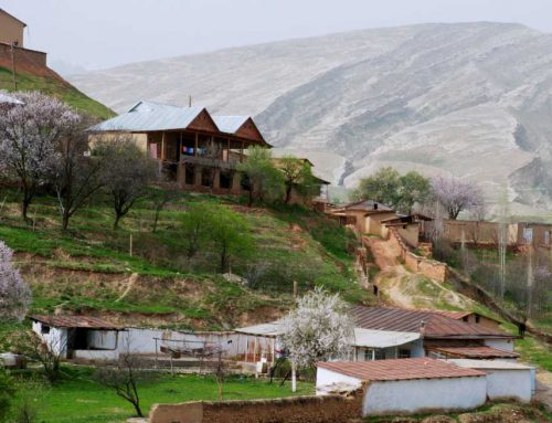 FoodHub development in Uzbekistan